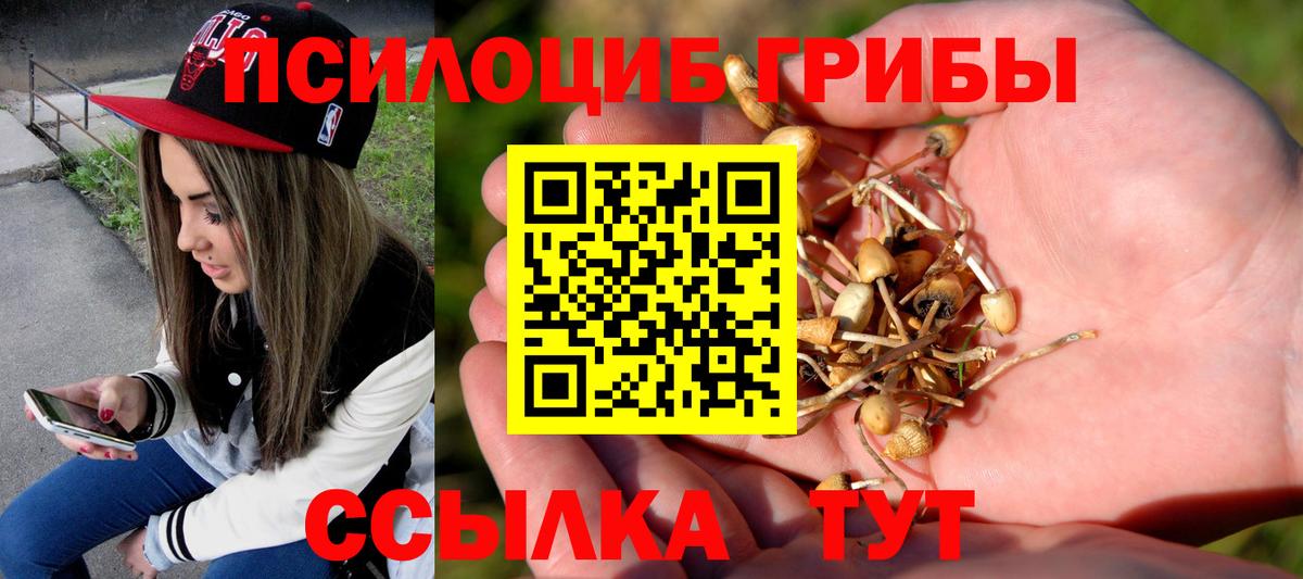 Псилоцибиновые грибы Cubensis Дагестанские Огни